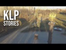   .  KLP-stories