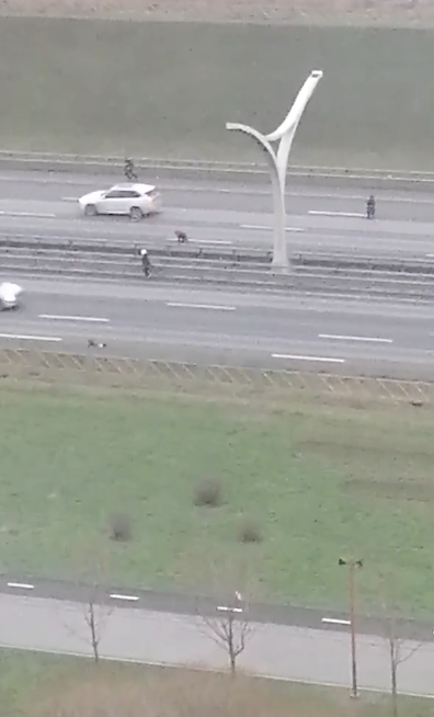 В Петербурге полиция ловит группу детей, устроивших игру «на выживание» на ЗСД