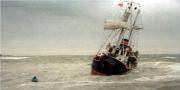 Почти детективная история  