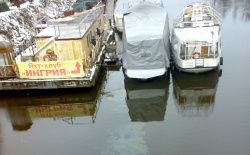 Сотрудники администрации оперативно выехали на жалобу жителей о предположительном разливе нефти в устье реки Ижора