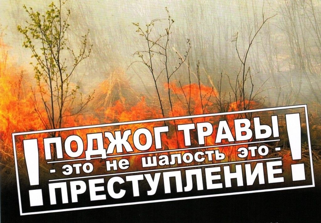 Поджог травы не шалость, это – преступление