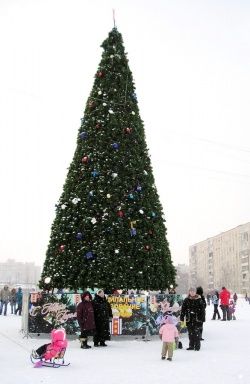 Новый Год в Колпине на муниципальный лад