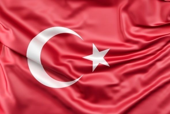 Турция не&nbsp;планирует вводить санкции против России