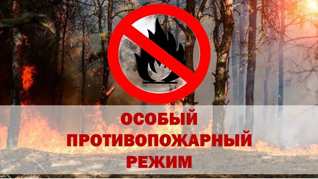 В границах Петербурга начал действовать особый противопожарный режим