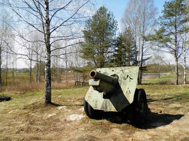 Встреча ветеранов на Невском пятачке (фото,видео)