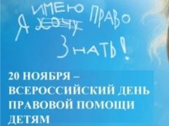 День правовой помощи детям проведут в Колпинском районе
