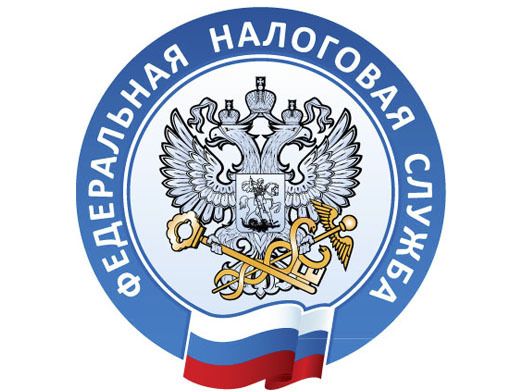В колпинской налоговой пройдет акция «Личный кабинет – ваш правильный выбор»