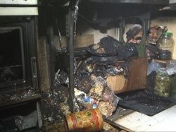 Пожар в Колпинском районе