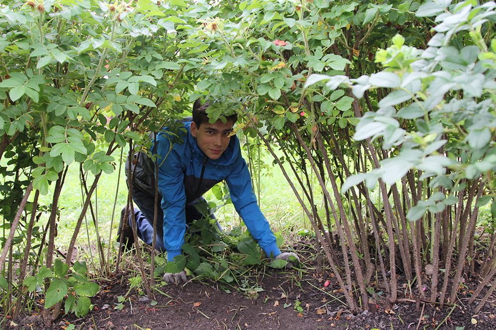 «Пчелки» убирают город