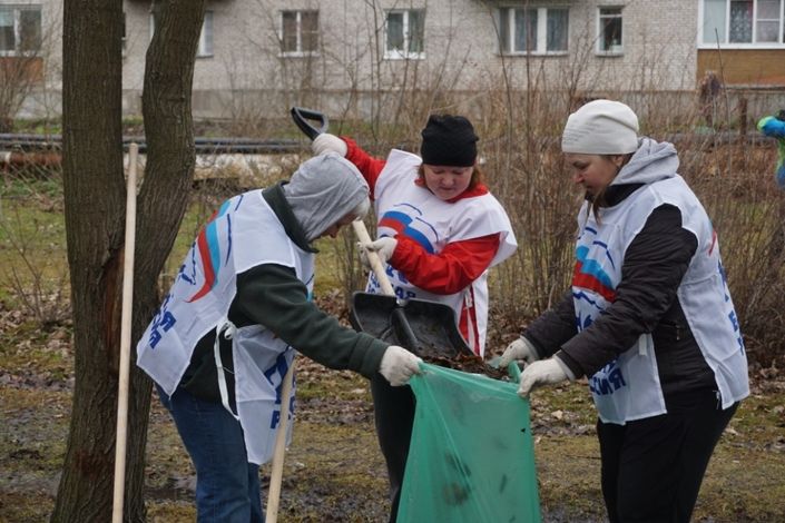 В рамках месячника по благоустройству в Колпинском районе убрано 83% территорий