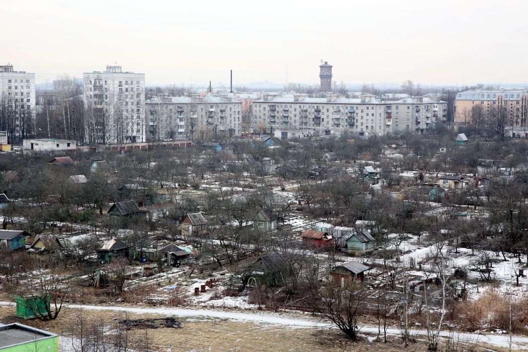 В Металлострое решили, что спасать людей важнее, чем растить огурцы