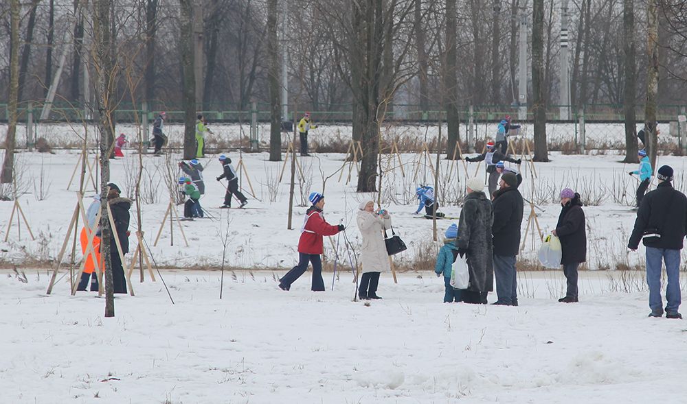 Колпинский этап «Лыжни России-2014»