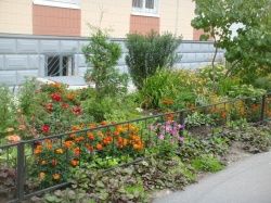 4 жителя Колпинского района награждены почетным знаком «За заботу о красоте города»