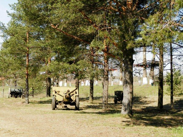 Встреча ветеранов на Невском пятачке (фото,видео)