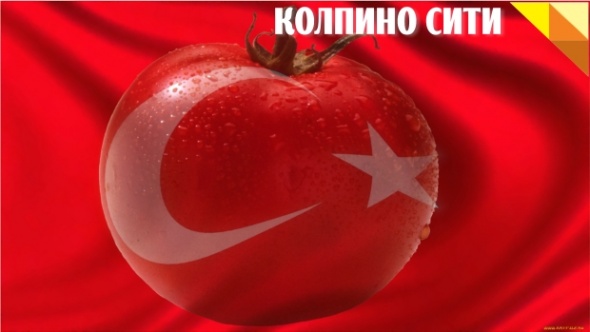 Список продуктов запрещенных к ввозу в РФ из Турции (инфографика)