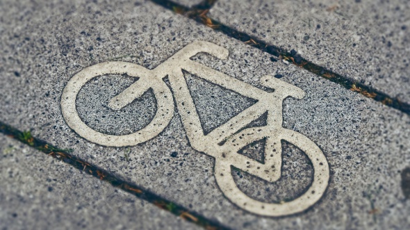 Велосипедную инфраструктуру в&nbsp;Ленобласти начнут создавать с&nbsp;Гатчины