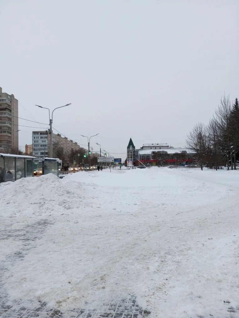 В Петербурге местами пройдёт небольшой снег