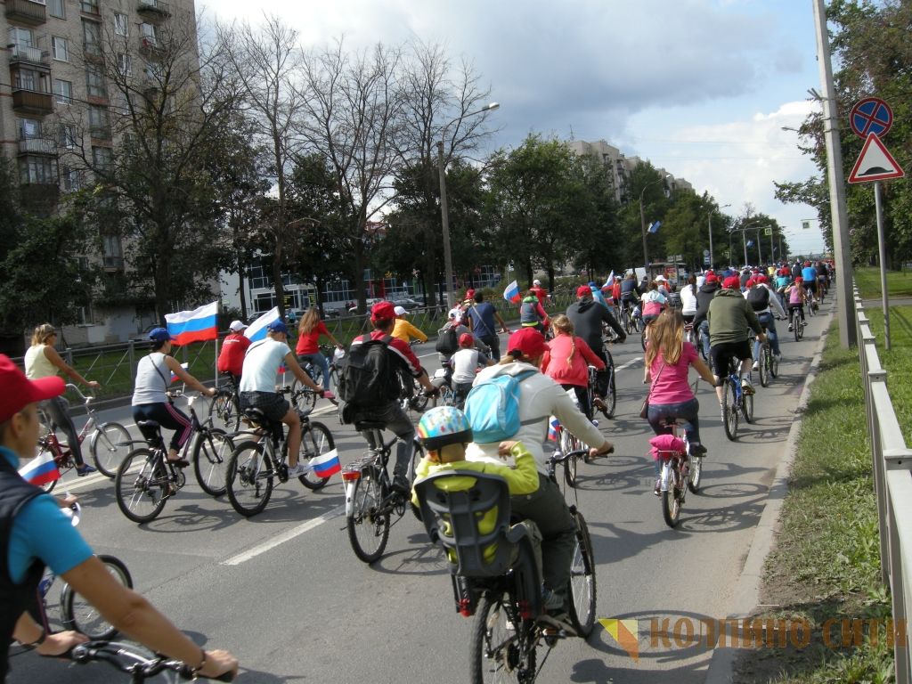 Велопробег-2014 (все фото) Велопробег-2014 (все фото)