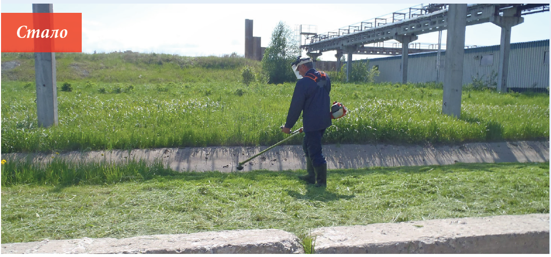 Без мифов и прикрас. Красный Бор, как он есть
