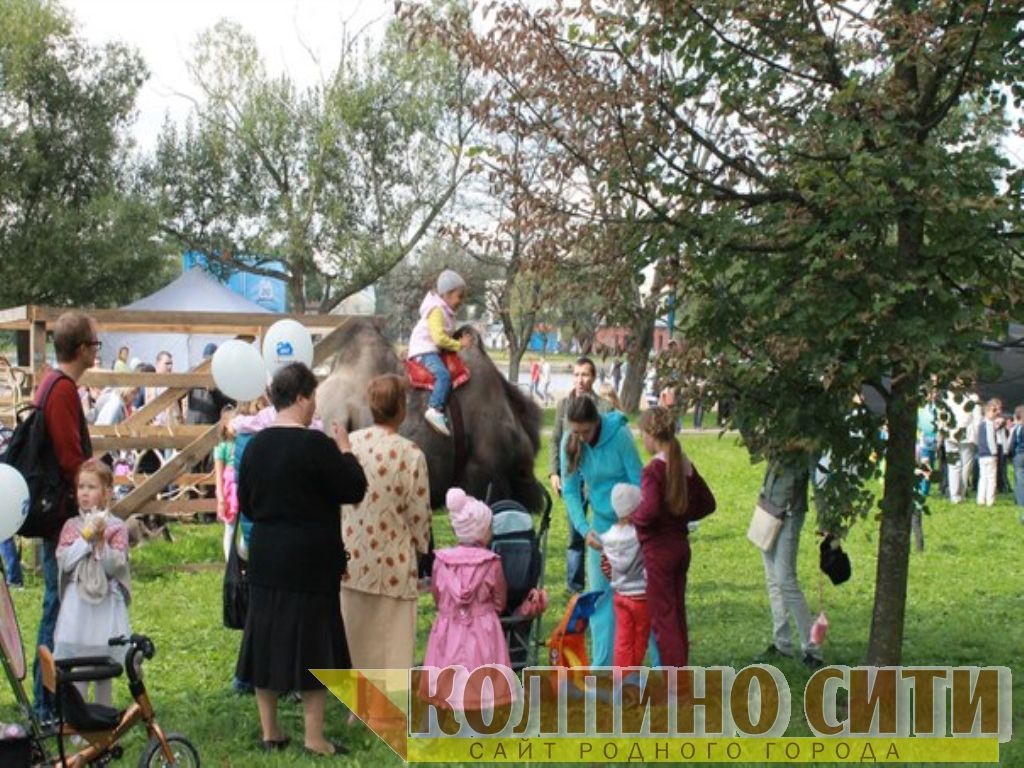 День Города Колпино-2014 подробно (необычные гости) День Города Колпино-2014 подробно (необычные гости)