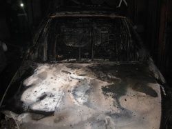 Пожар в Колпинском районе