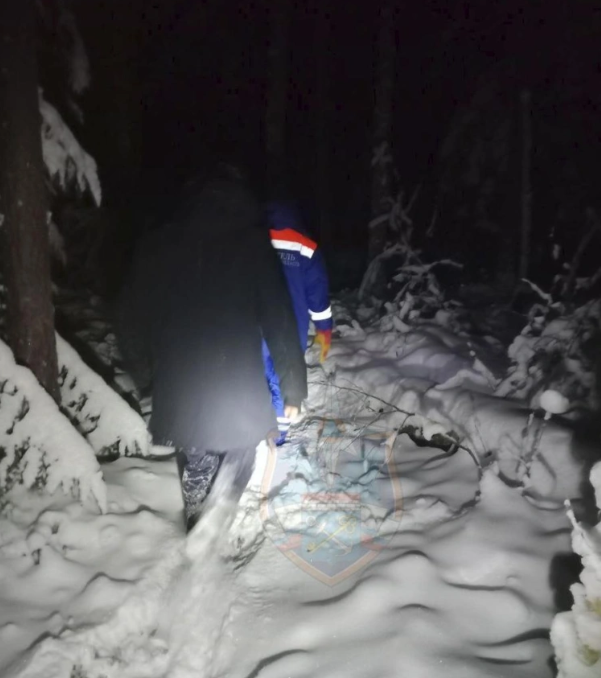 Спасатели вывели заблудившегося в лесу мужчину в Ленобласти