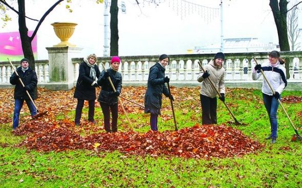 Осенний месячник по благоустройству: как город готовится войти в зиму