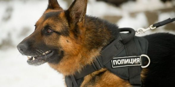 ОМВД приглашает граждан РФ на службу