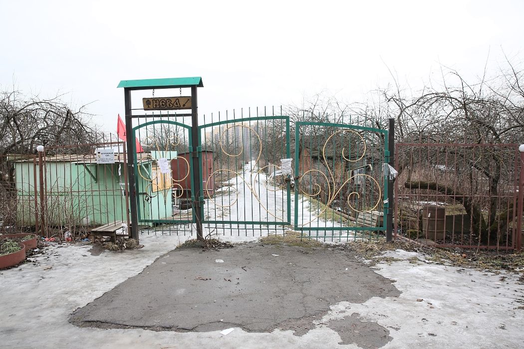 В Металлострое решили, что спасать людей важнее, чем растить огурцы