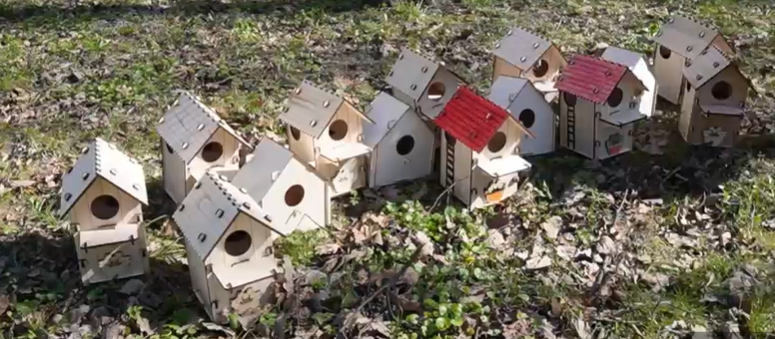 На острове Чухонка прошла реновация беличьего городка