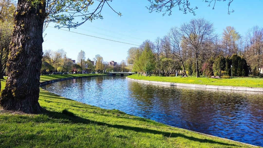 В Петербурге ожидается очередной дождливый день В Петербурге ожидается очередной дождливый день