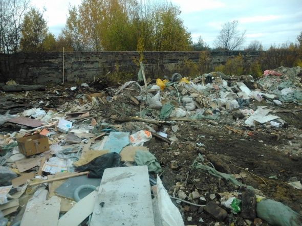 Муниципалитет г.Колпино ежегодно тратит огромные деньги на ликвидацию несанкционированных свалок и вывоз мусора