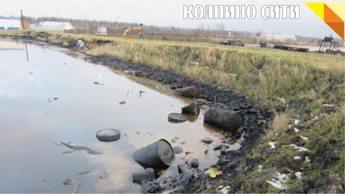 Петиция о закрытии полигона химических отходов &quot;Красный Бор&quot; для приема новых промышленных отходов набрала 38 966 голосов. Требуется ещё 61 034