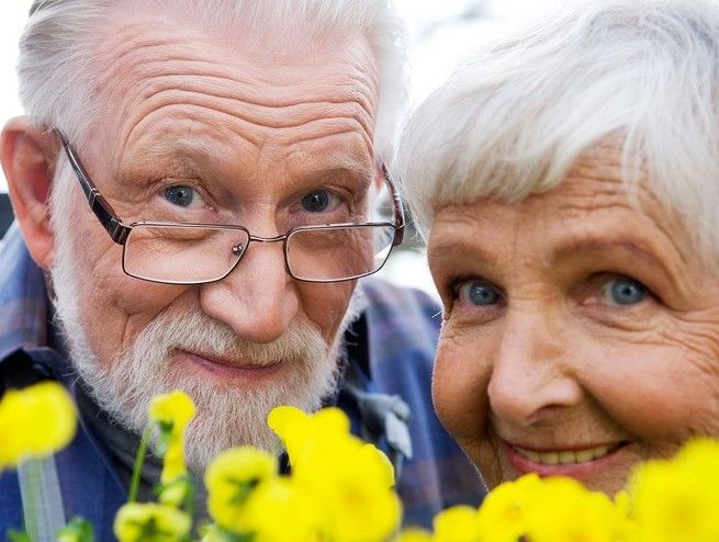 Колпинские пенсионеры примут участие в Международном форуме «Старшее поколение»