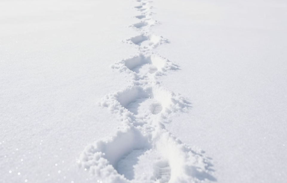 Группа из семи туристов пропала на Камчатке