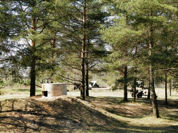 Встреча ветеранов на Невском пятачке (фото,видео)