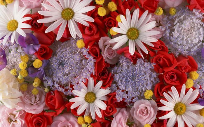 Дорогие наши женщины с 8 марта!