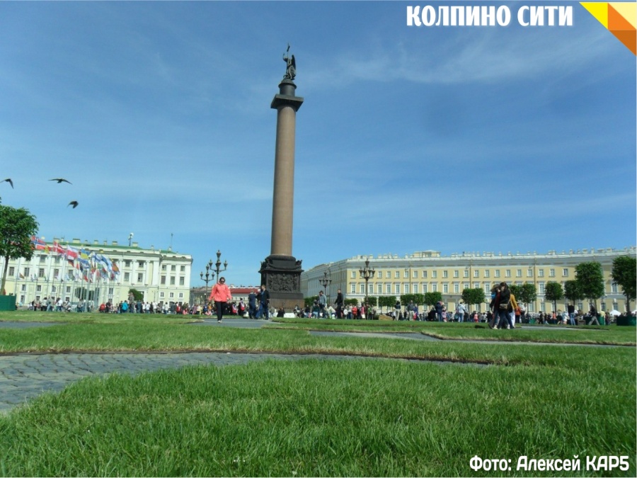 Дворцовая площадь зазеленела (Фото)