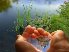 В районе пройдет акция &quot;Чистый берег&quot;