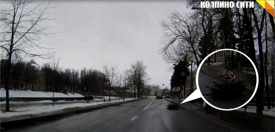 На набережной Комсомольского канала в качестве ограждения на опасном участке выступает новогодняя ёлка