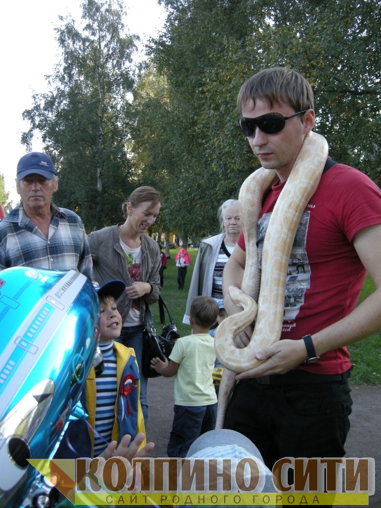 День Города Колпино-2014 подробно (необычные гости) День Города Колпино-2014 подробно (необычные гости)
