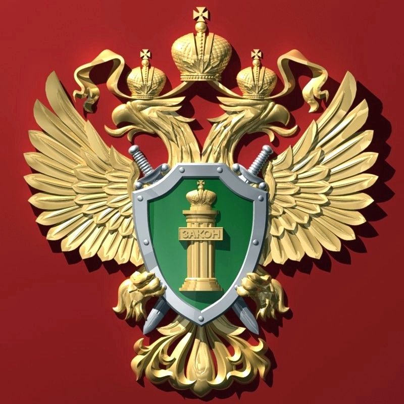 Прокуратура Колпинского района провела проверку по факту убийства несовершеннолетней девочки в Тунисе