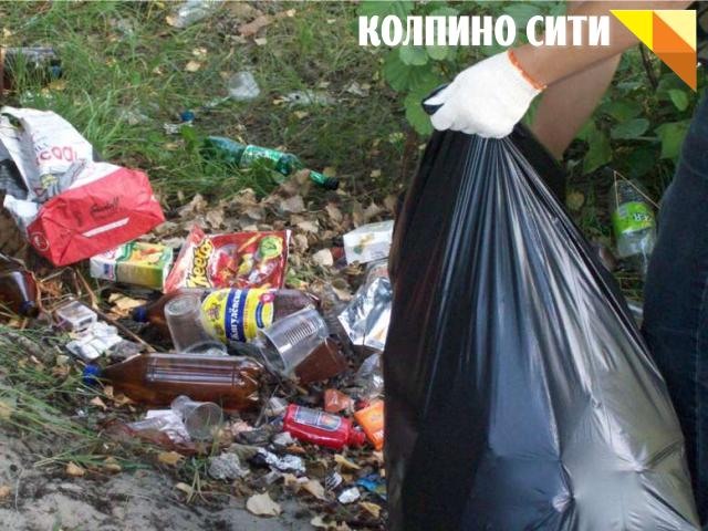 В Колпино убирают мусор с территории детского пляжа у Ижоры