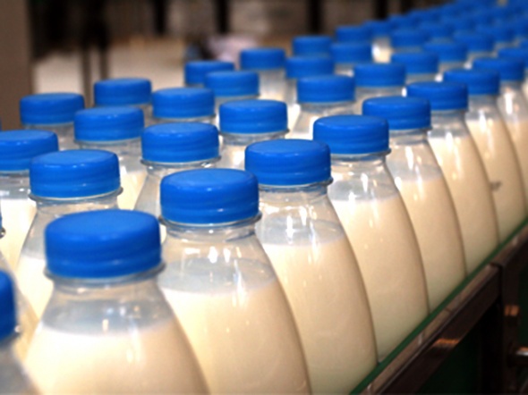 Новый закон Минсельхоза может привести к&nbsp;остановке производства молока