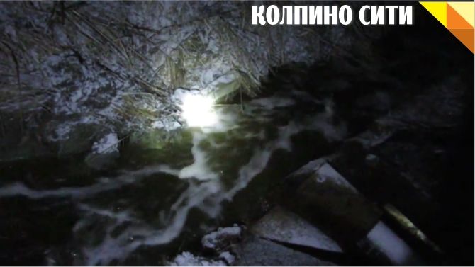 Полигоном "Красный Бор" займется рабочая группа Полигоном "Красный Бор" займется рабочая группа