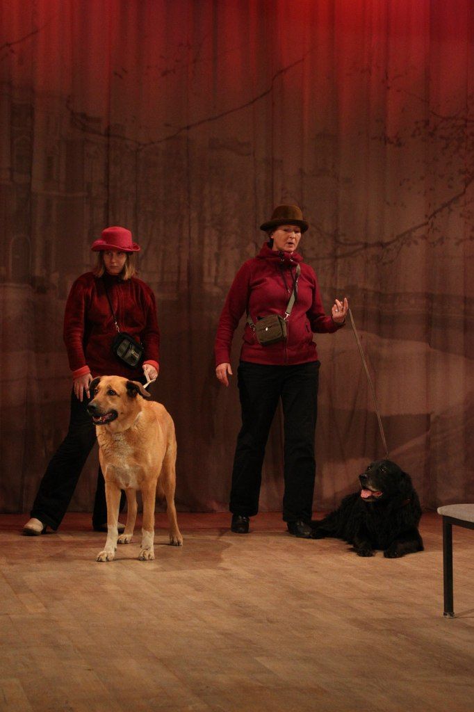 Прошел праздничный концерт ко дню матери