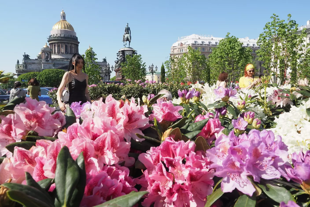 С 2025 года в Петербурге введут туристический налог