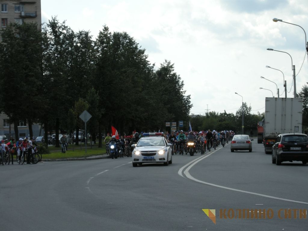 Велопробег-2014 (все фото) Велопробег-2014 (все фото)