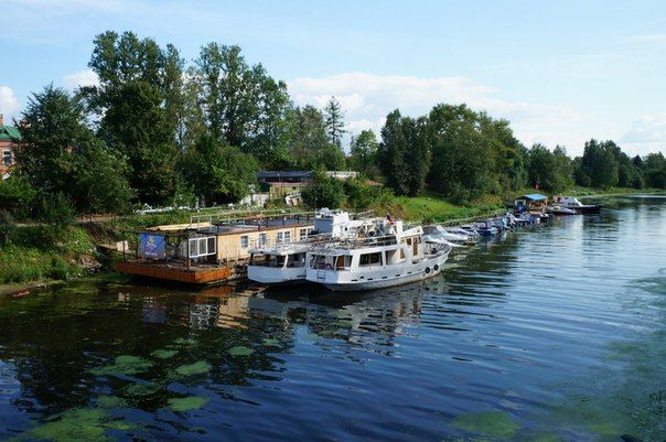 Встреча руководителей Молодежных приемных районов Санкт-Петербурга с вице-губернатором Санкт-Петербурга