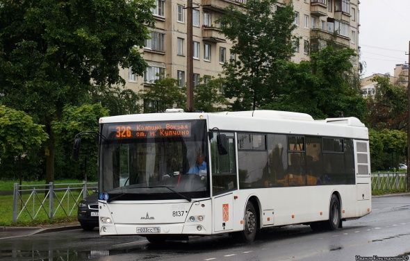 В новом районе Колпино изменится движение автобусов В новом районе Колпино изменится движение автобусов